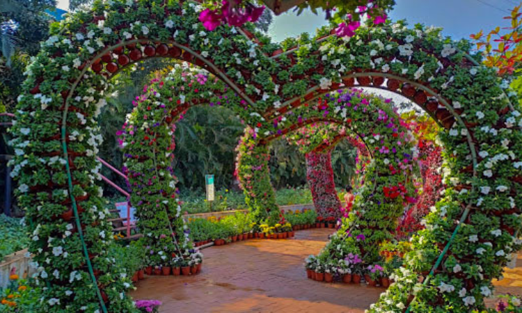 flower park in nashik